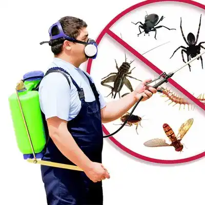 pest control Cumberland Center